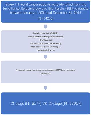 Association of T Stage and Serum CEA Levels in Determining Survival of Rectal Cancer